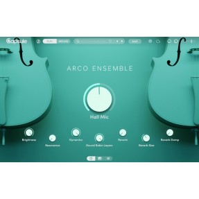 Capsule Audio Arco Ensemble - Muzyczny instrument wirtualny VST (do pobrania)