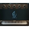 Boz Digital Labs New York L Bundle - Wtyczki VST wirtualnych instrumentów klawiszowych (do pobrania)