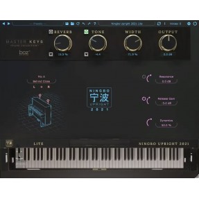 Boz Digital Labs Ningbo Upright 2021 Lite - Wtyczka VST wirtualnego instrumentu (upgrade - do pobrania)