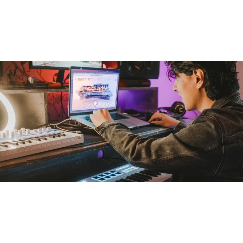 Arturia V Collection 11 Pro Zestaw wtyczek VST - 5 - Zestawy wtyczek VST - Dla producentów muzycznych, kompozytorów i sound desi