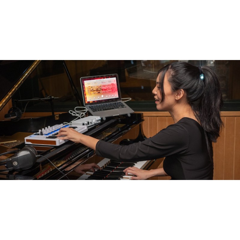 Arturia V Collection 11 Pro Zestaw wtyczek VST - 13 - Zestawy wtyczek VST - Dla producentów muzycznych, kompozytorów i sound des