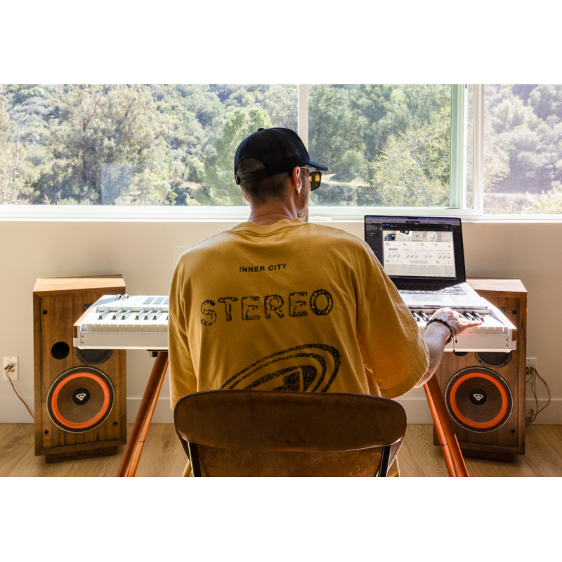 Arturia V Collection 11 Intro Zestaw wtyczek VST - 3 - Zestawy wtyczek VST - Wyselekcjonowany wybór 10 kultowych instrumentów za