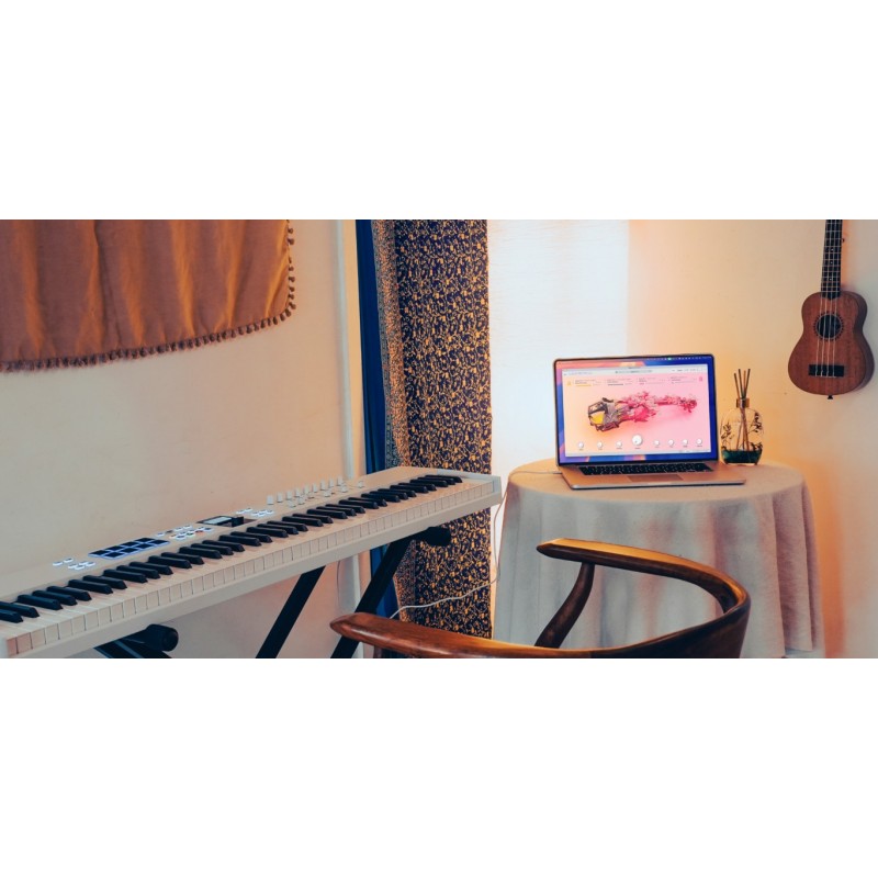 Arturia V Collection 11 Intro Zestaw wtyczek VST - 5 - Zestawy wtyczek VST - Wyselekcjonowany wybór 10 kultowych instrumentów za