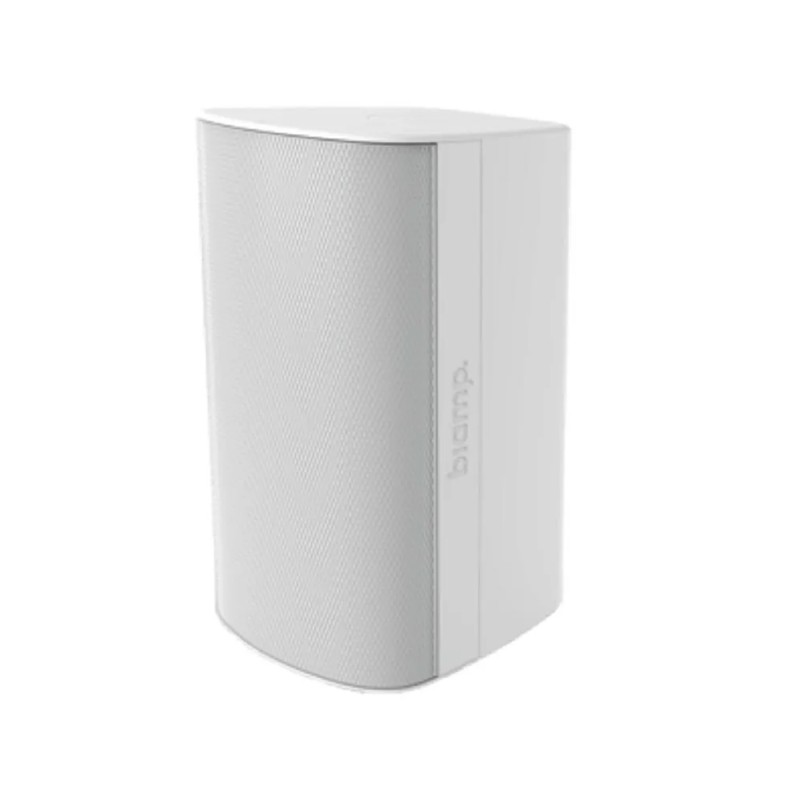 Biamp Desono EX-S8-1W naścienny zestaw głośnikowy 250 W / 8Ω - 1 - Kolumny instalacyjne - Biamp Desono EX-S8 W (White) to 8-calo