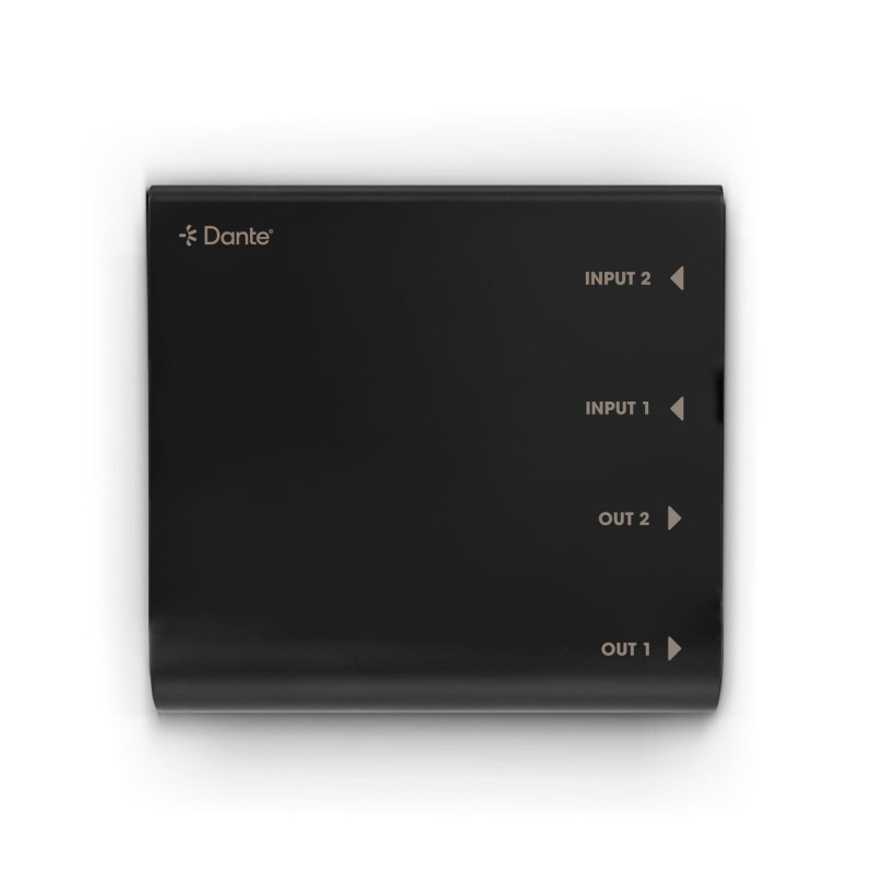 Palmer RIVER lahn - Interfejs Dante 2x2