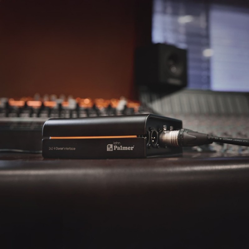 Palmer RIVER lahn - Interfejs Dante 2x2