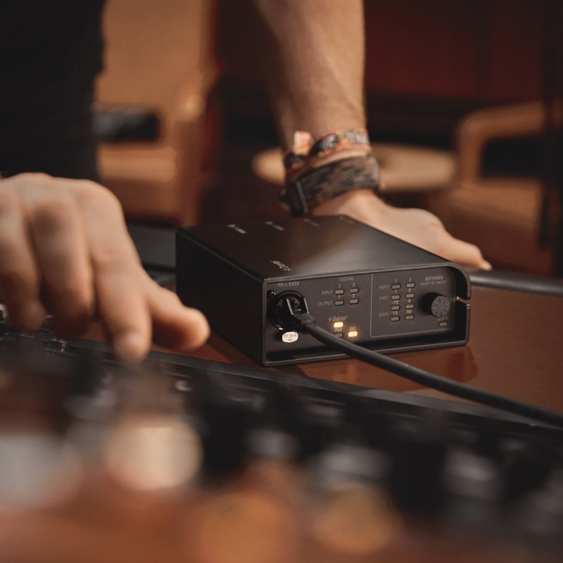 Palmer RIVER lahn - Interfejs Dante 2x2