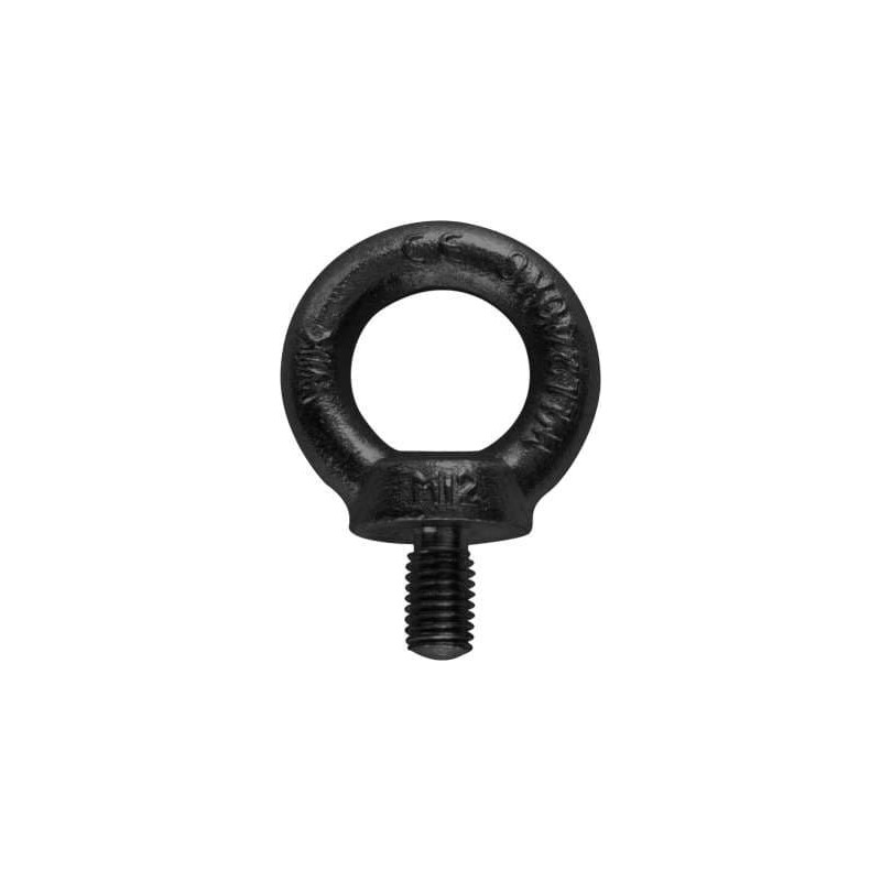 Riggatec Eyebolt M12 Black WLL 340kg - Śruba oczkowa