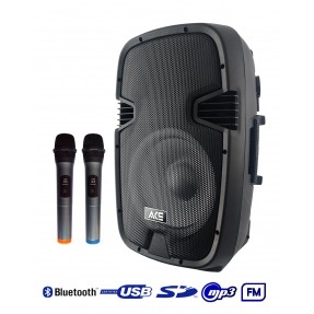 RH SOUND PAQ-12AB Aktywna...