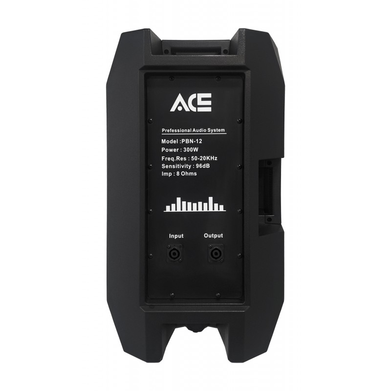 RH SOUND PBN-12 Kolumna pasywna - 2 - Kolumny pasywne - Pasywny zestaw głośnikowy 12", 2-drożny, Moc: 300Wrms/500Wmax, SPL 96dB,