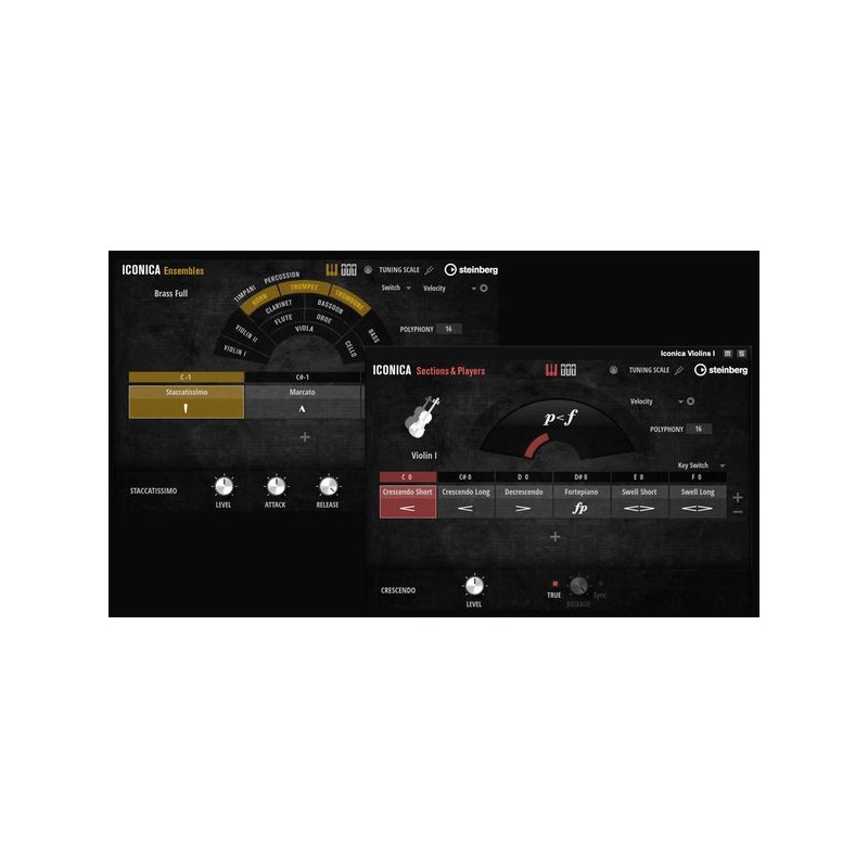 Steinberg Iconica Ensembles orkiestrowa biblioteka próbek - 1 - Biblioteki brzmień, presety - Steinberg Iconica Ensembles orkies