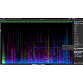 Steinberg SpectraLayers Elements 12 Full Version Edytor audio do postprodukcji - 1 - Sekwencery, rejestracja DAW - Steinberg Spe