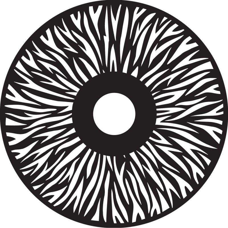 Infinity Furion S602 Spot - Głowa ruchoma IP65