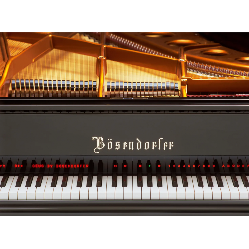 Vienna Symphonic Library Studio Bösendorfer Imperial Instrument wirtualny VST - 4 - Instrumenty wirtualne - Vienna Symphonic Lib
