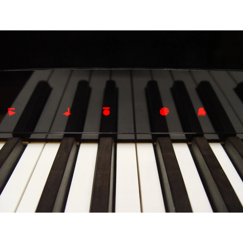 Vienna Symphonic Library Studio Bösendorfer Imperial Instrument wirtualny VST - 5 - Instrumenty wirtualne - Vienna Symphonic Lib