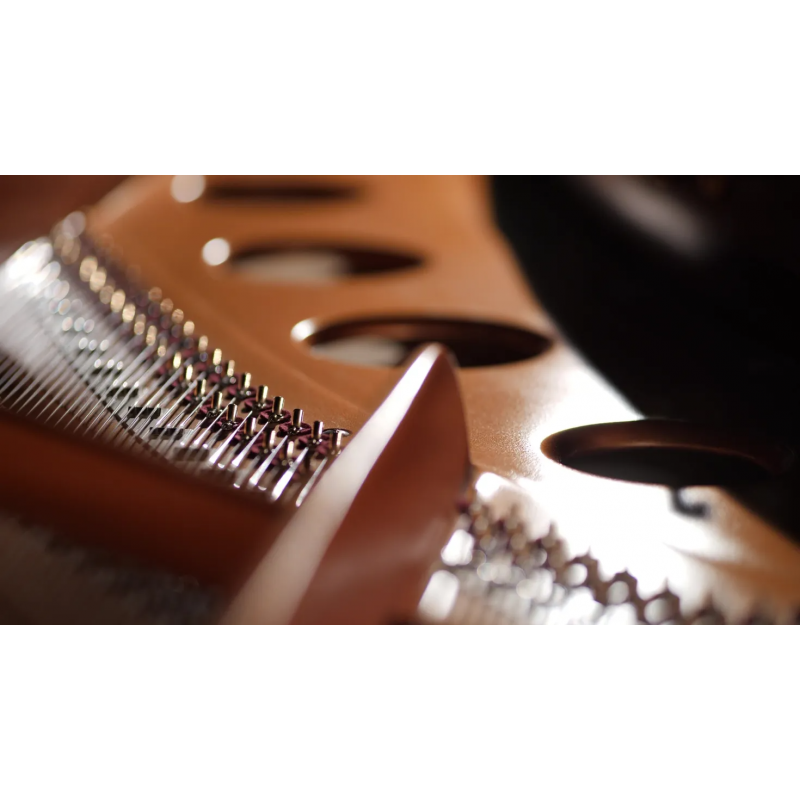 Vienna Symphonic Library Studio Bösendorfer 280VC (Standard Library) Instrument wirtualny VST - 4 - Instrumenty wirtualne - Vien