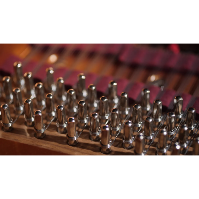 Vienna Symphonic Library Studio Bösendorfer 280VC (Standard Library) Instrument wirtualny VST - 5 - Instrumenty wirtualne - Vien