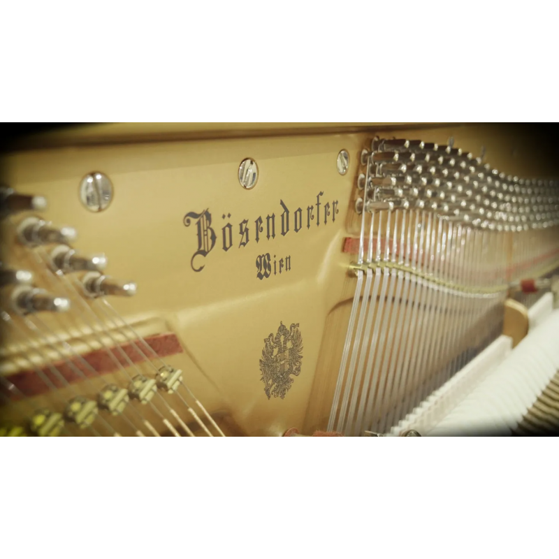 Vienna Symphonic Library Studio Bösendorfer Upright (Standard Library) Instrument wirtualny VST - 3 - Instrumenty wirtualne - Vi