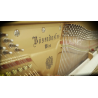 Vienna Symphonic Library Studio Bösendorfer Upright (Standard Library) Instrument wirtualny VST - 3 - Instrumenty wirtualne - Vi
