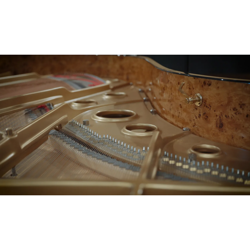 Vienna Symphonic Library Studio Fazioli F212 (Standard Library) Instrument wirtualny VST - 5 - Instrumenty wirtualne - Vienna Sy