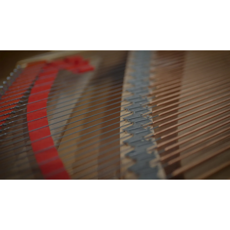 Vienna Symphonic Library Studio Fazioli F212 (Standard Library) Instrument wirtualny VST - 8 - Instrumenty wirtualne - Vienna Sy