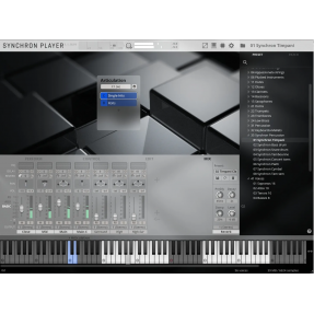 Vienna Symphonic Library Special Edition Vol. 2 Extended Orchestra Instrument wirtualny VST - 1 - Instrumenty wirtualne - Vienna