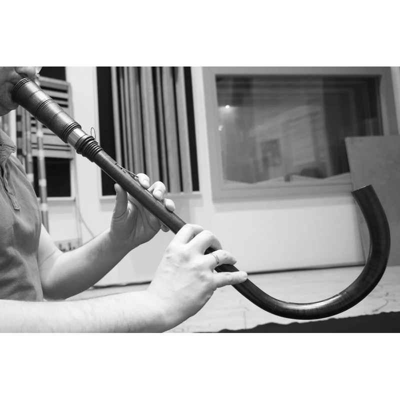 Vienna Symphonic Special Edition Vol. 7 Historic Instruments Instrument wirtualny VST - 5 - Instrumenty wirtualne - Studio Speci