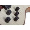 Schecter Charles Berthoud CB-6 Natural Satin - Gitara basowa