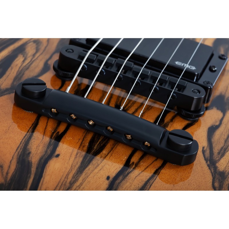 Schecter Wylde Audio Barbarian Pale Moon Ebony - Gitara elektryczna