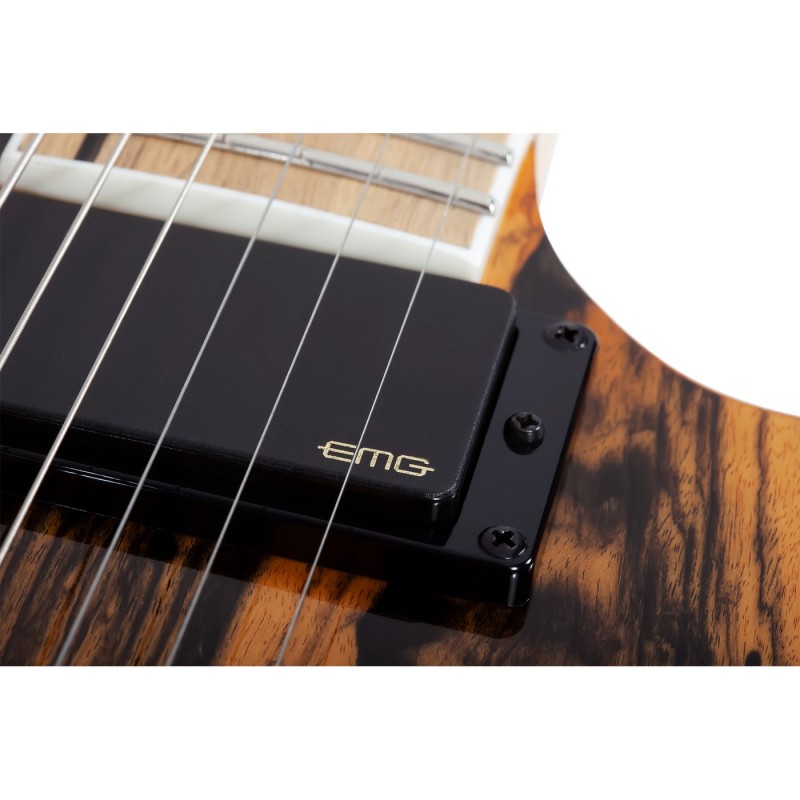 Schecter Wylde Audio Barbarian Pale Moon Ebony - Gitara elektryczna