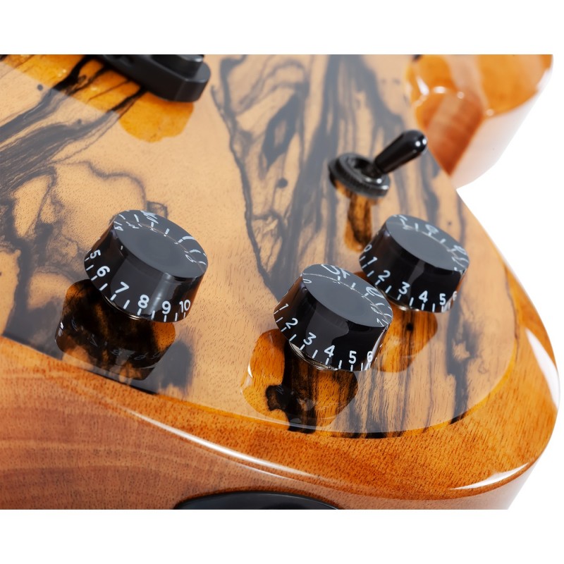 Schecter Wylde Audio Barbarian Pale Moon Ebony - Gitara elektryczna