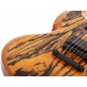 Schecter Wylde Audio Barbarian Pale Moon Ebony - Gitara elektryczna