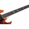 Schecter Wylde Audio Barbarian Carveworks - Gitara elektryczna