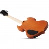 Schecter Wylde Audio Barbarian Carveworks - Gitara elektryczna