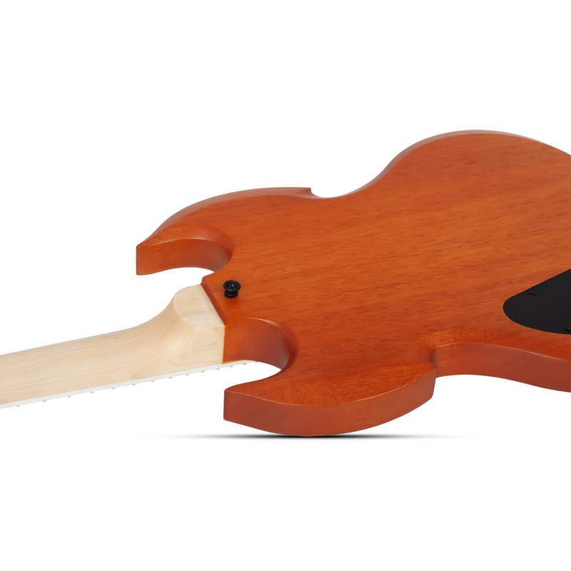 Schecter Wylde Audio Barbarian Carveworks - Gitara elektryczna