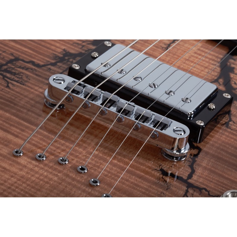 Schecter V-1 Electro-Resin Gloss Natural - Gitara elektryczna