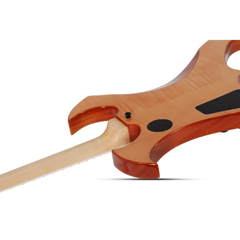 Schecter Wylde Audio Berzerker Corridors - Gitara elektryczna