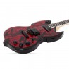 Schecter Wylde Audio Babarian Blood Raven - Gitara elektryczna