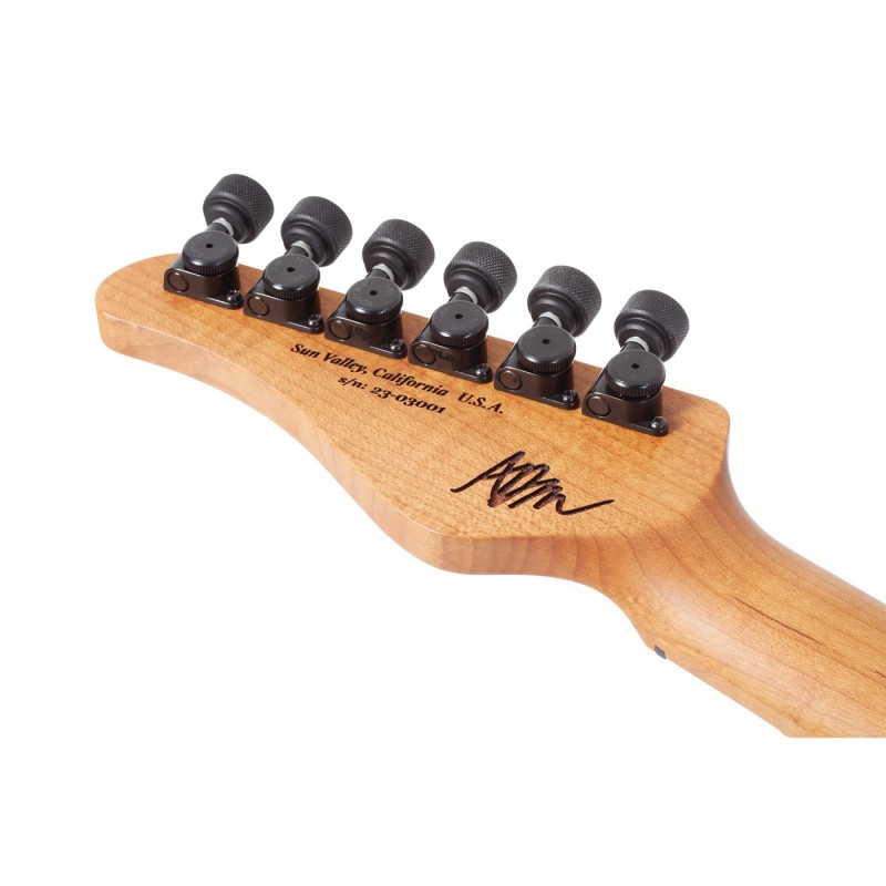 Schecter Aaron Marshall AM-6 USA Pale Emerald - Gitara elektryczna