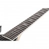Schecter Wylde Audio Warhammer NT Norse Dragon Bullseye - Gitara elektryczna