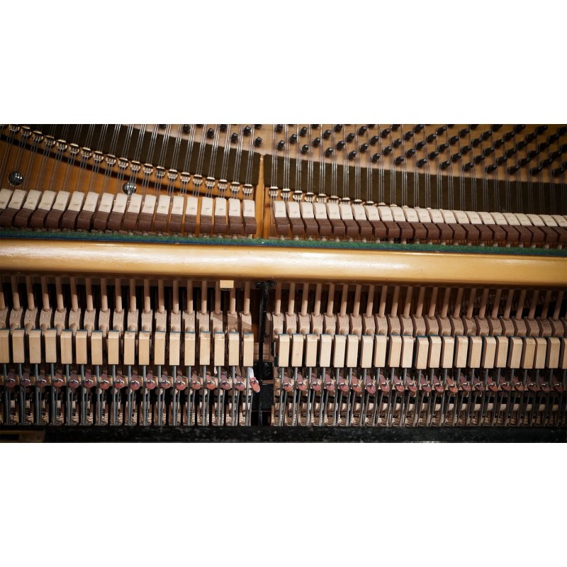 Vienna Symphonic Library Studio German Upright 1904 (Standard Library) Instrument wirtualny VST - 4 - Instrumenty wirtualne - Vi