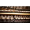 Vienna Symphonic Library Studio German Upright 1904 (Standard Library) Instrument wirtualny VST - 4 - Instrumenty wirtualne - Vi