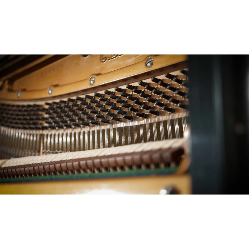 Vienna Symphonic Library Studio German Upright 1904 (Standard Library) Instrument wirtualny VST - 5 - Instrumenty wirtualne - Vi