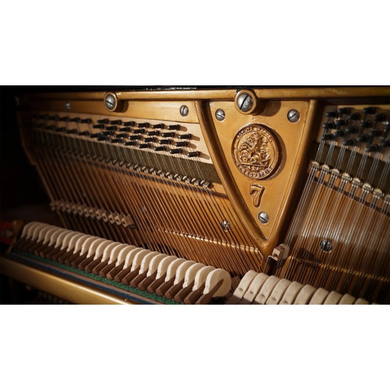 Vienna Symphonic Library Studio German Upright 1904 (Standard Library) Instrument wirtualny VST - 7 - Instrumenty wirtualne - Vi