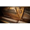 Vienna Symphonic Library Studio German Upright 1904 (Standard Library) Instrument wirtualny VST - 7 - Instrumenty wirtualne - Vi