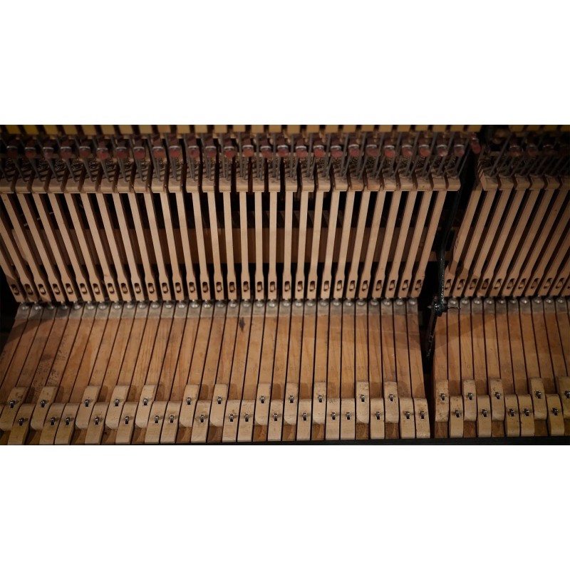 Vienna Symphonic Library Studio German Upright 1904 (Standard Library) Instrument wirtualny VST - 8 - Instrumenty wirtualne - Vi