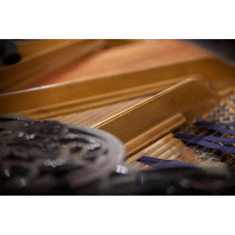 Vienna Symphonic Library Studio Blüthner 1895 (Standard Library) Instrument wirtualny VST - 3 - Instrumenty wirtualne - Vienna S