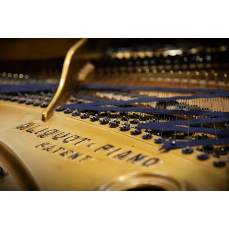 Vienna Symphonic Library Studio Blüthner 1895 (Standard Library) Instrument wirtualny VST - 4 - Instrumenty wirtualne - Vienna S