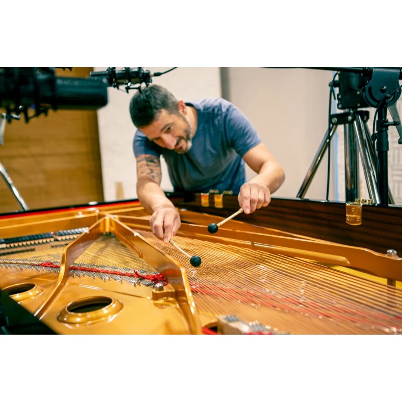 Vienna Symphonic Library Studio FX Piano (Standard Library) Instrument wirtualny VST - 3 - Instrumenty wirtualne - Vienna Sympho