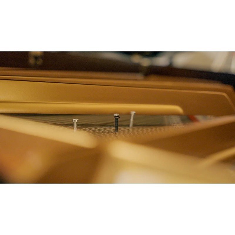 Vienna Symphonic Library Studio FX Piano (Standard Library) Instrument wirtualny VST - 5 - Instrumenty wirtualne - Vienna Sympho